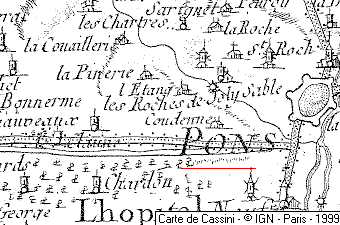 Domus Hospitalis Pons
